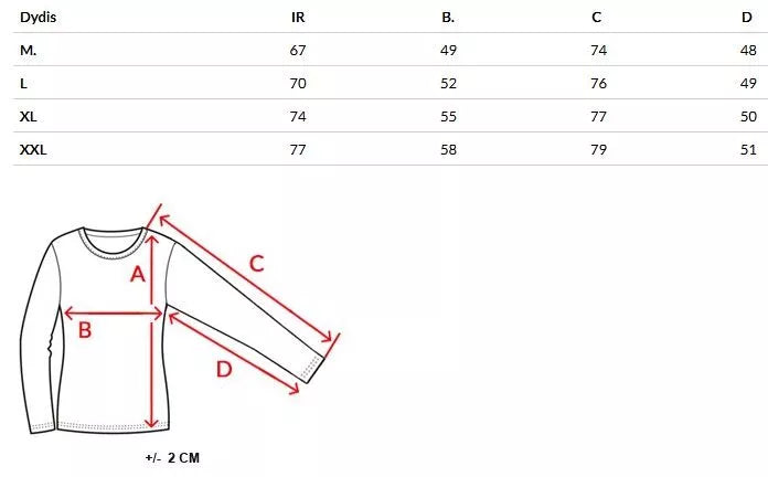Vyriškas mėlynas megztinis Monar
