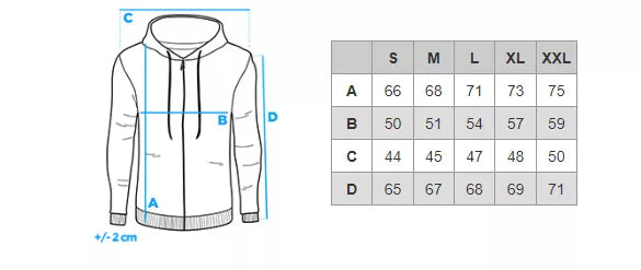 Pilkas vyriškas džemperis su gobtuvu Vytis