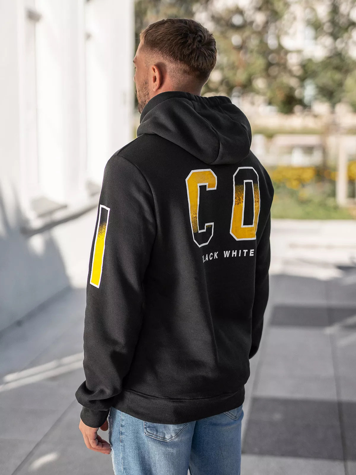 Vyriškas pilkos spalvos džemperis Icon2