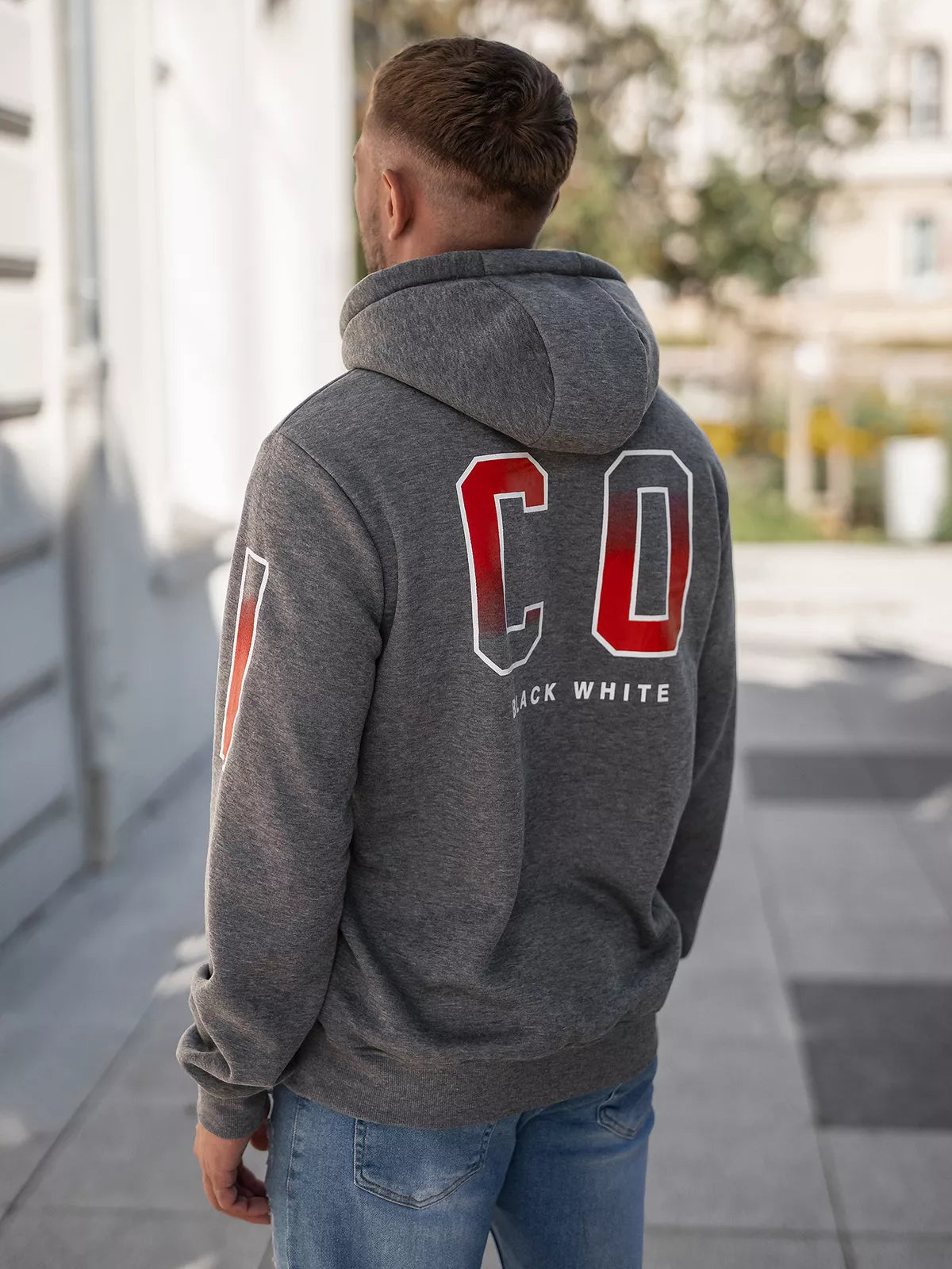 Vyriškas pilkos spalvos džemperis Icon2