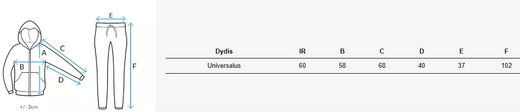 DIVINICA.LT